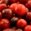 Cranberries – a great detox fruit