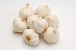 garlic-small