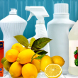 How to Detox and Cleanse Your House Cleaning Products